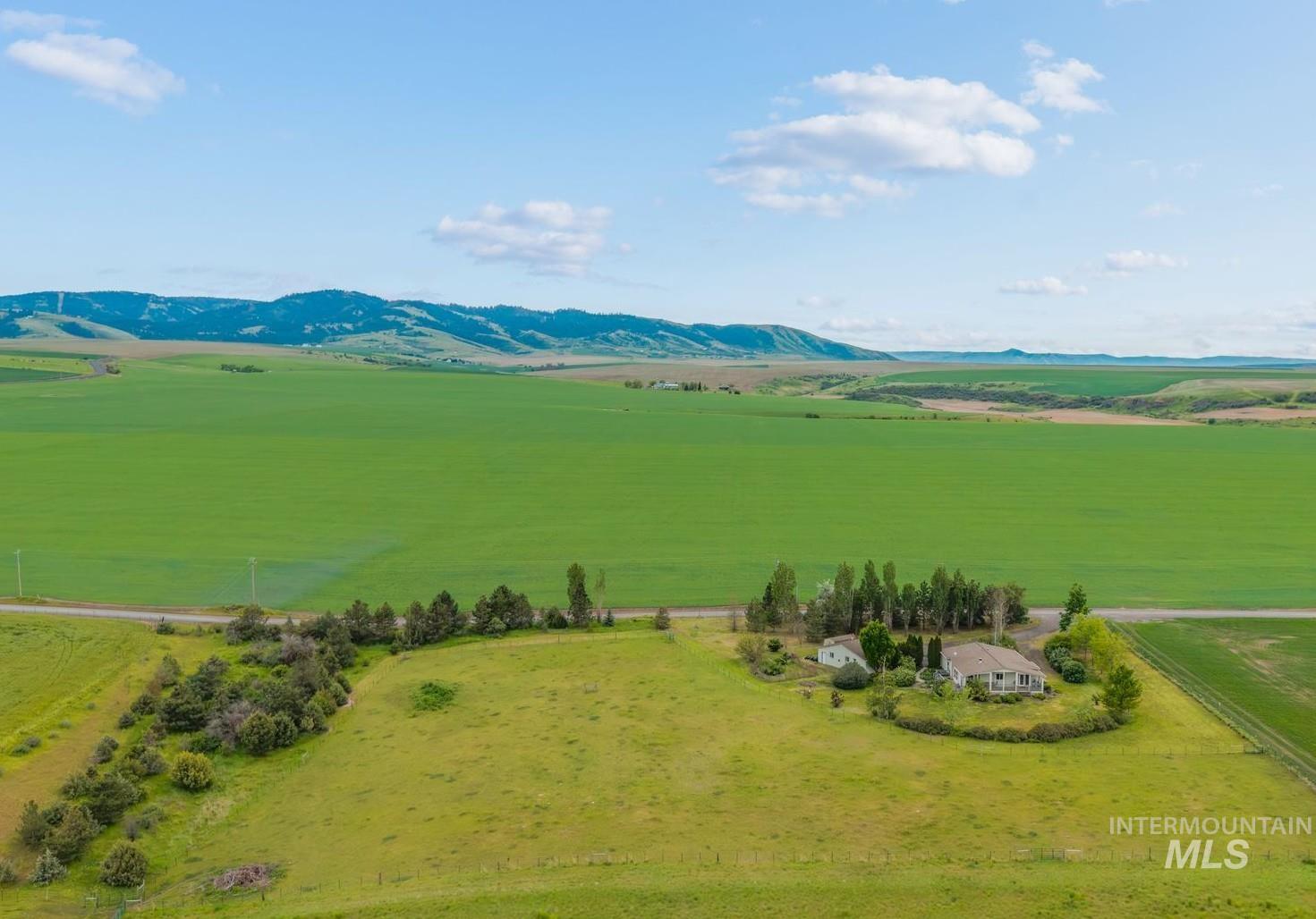 37989 Rosenkrantz Road Lewiston, ID 83501 - Photo 1 of 50 Expansive rural property featuring a single-story residence, a secondary structure, mature trees, and a surrounding green landscape