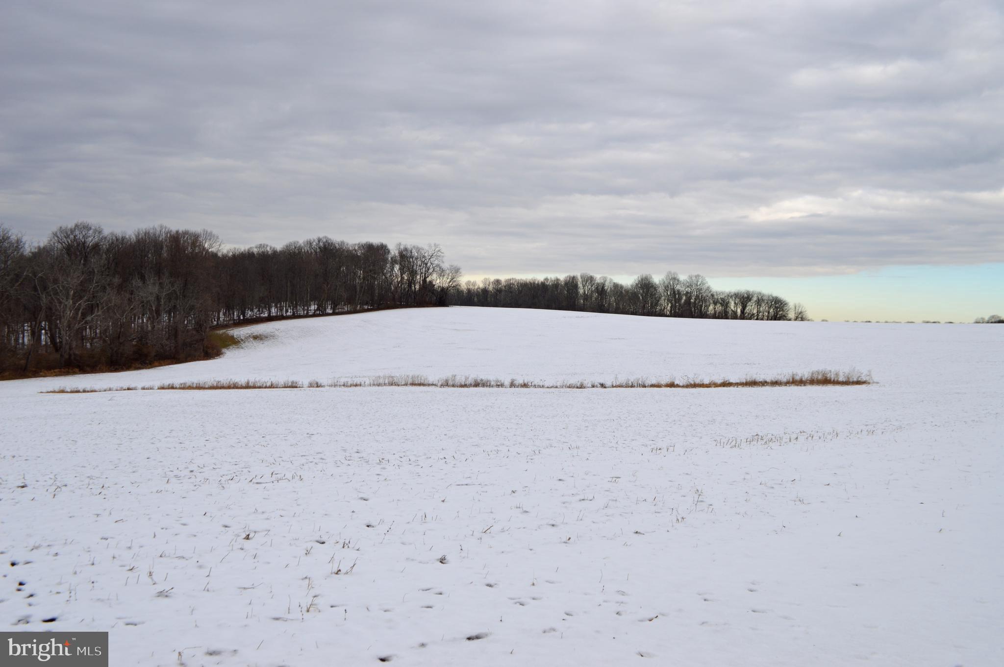 Washington Road Sykesville, MD 21784 - Photo 2 of 3
