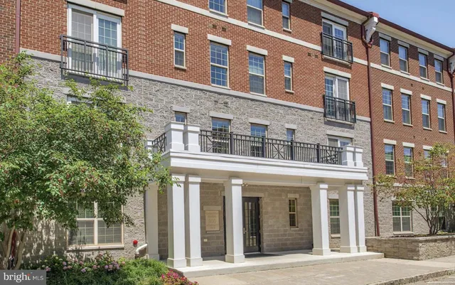 a view of a park with large trees
