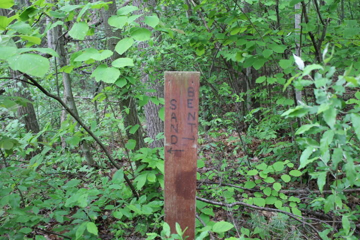 9237 North Belsay Road Millington, MI 48746 - Photo 3 of 15 IMG_5367