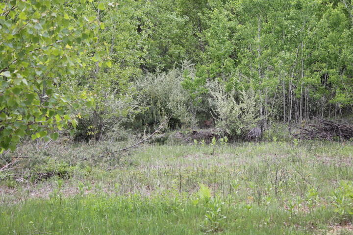 9237 North Belsay Road Millington, MI 48746 - Photo 5 of 15 IMG_5369
