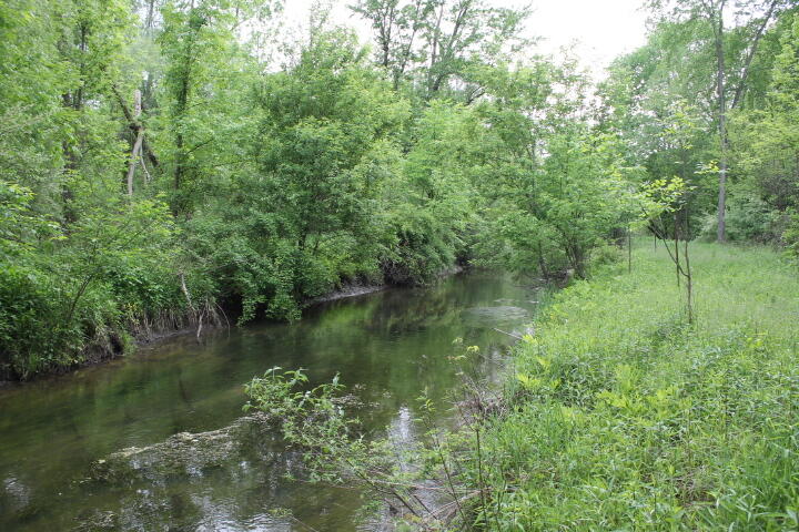 9237 North Belsay Road Millington, MI 48746 - Photo 9 of 15 IMG_5374