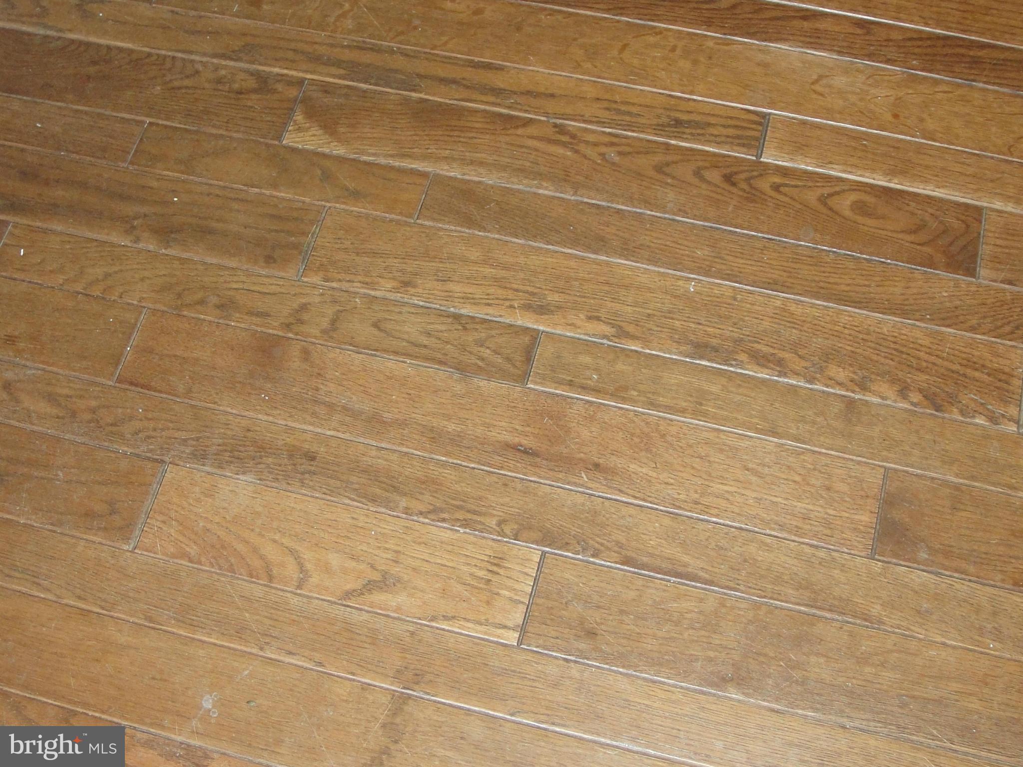 2851 Jones Road Dunkirk, MD 20754 - Photo 24 of 28 Interior (General)