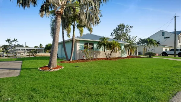 a view of a park with a palm tree