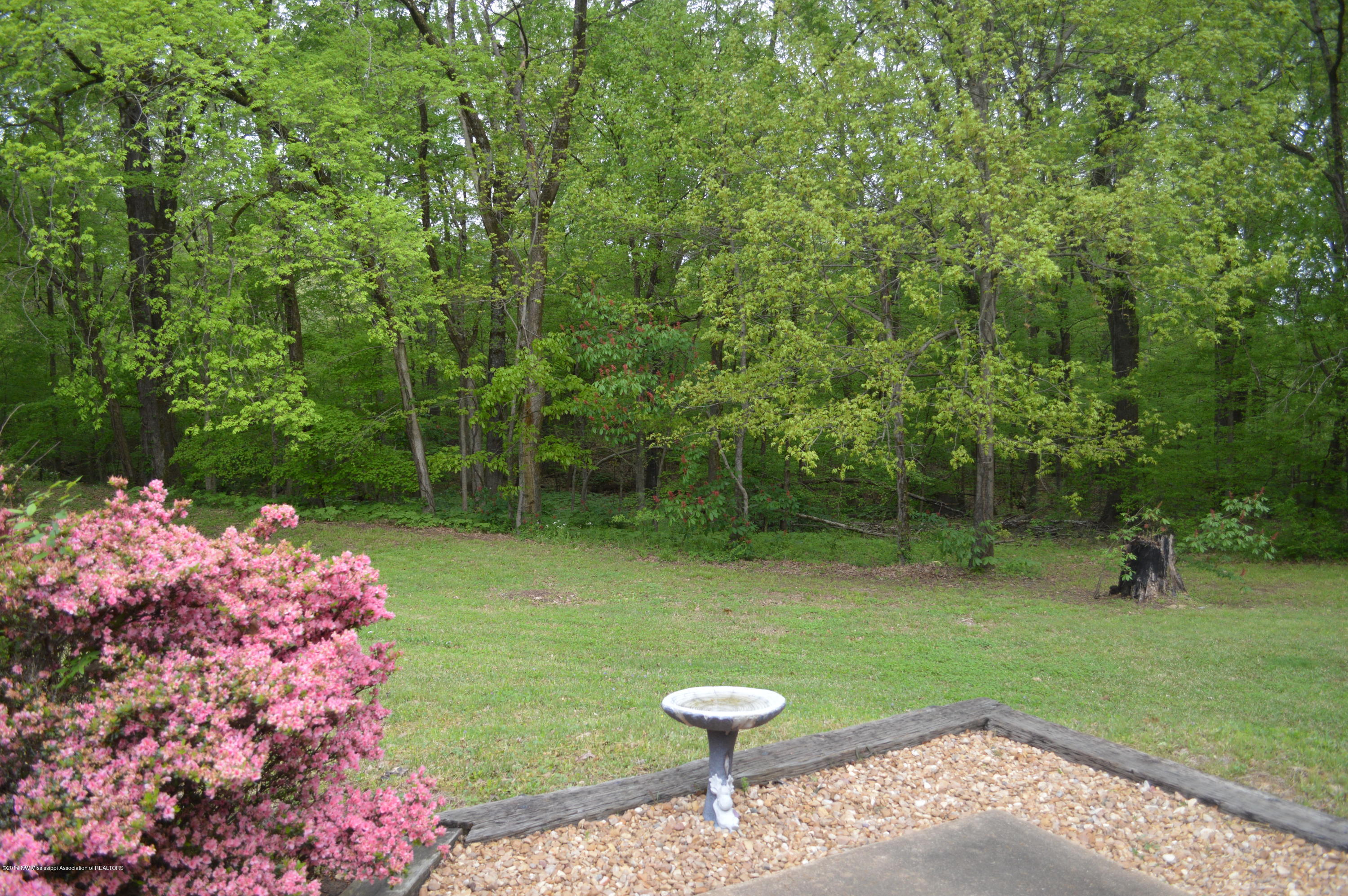 10730 Woolsey Road Olive Branch, MS 38654 - Photo 34 of 46 DSC_0064