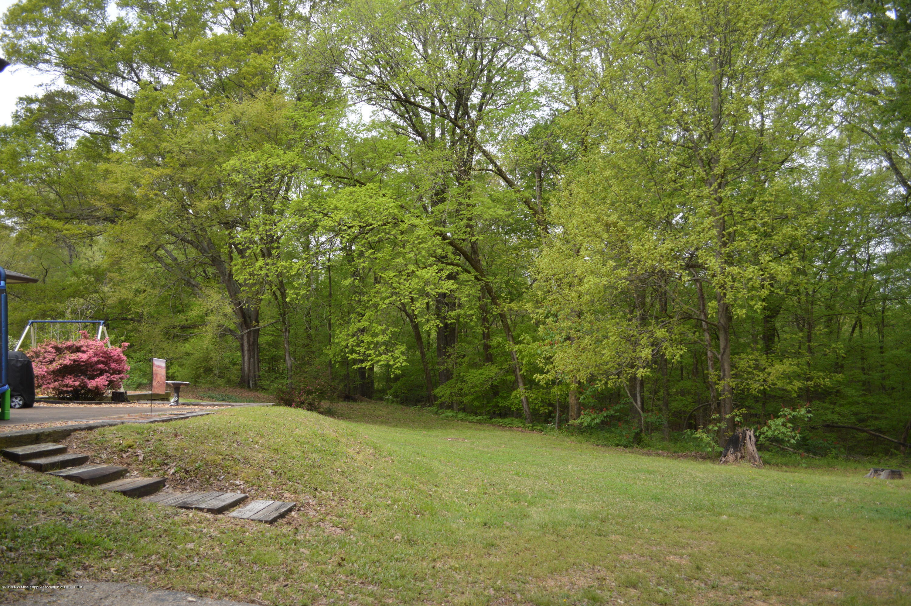 10730 Woolsey Road Olive Branch, MS 38654 - Photo 38 of 46 DSC_0060