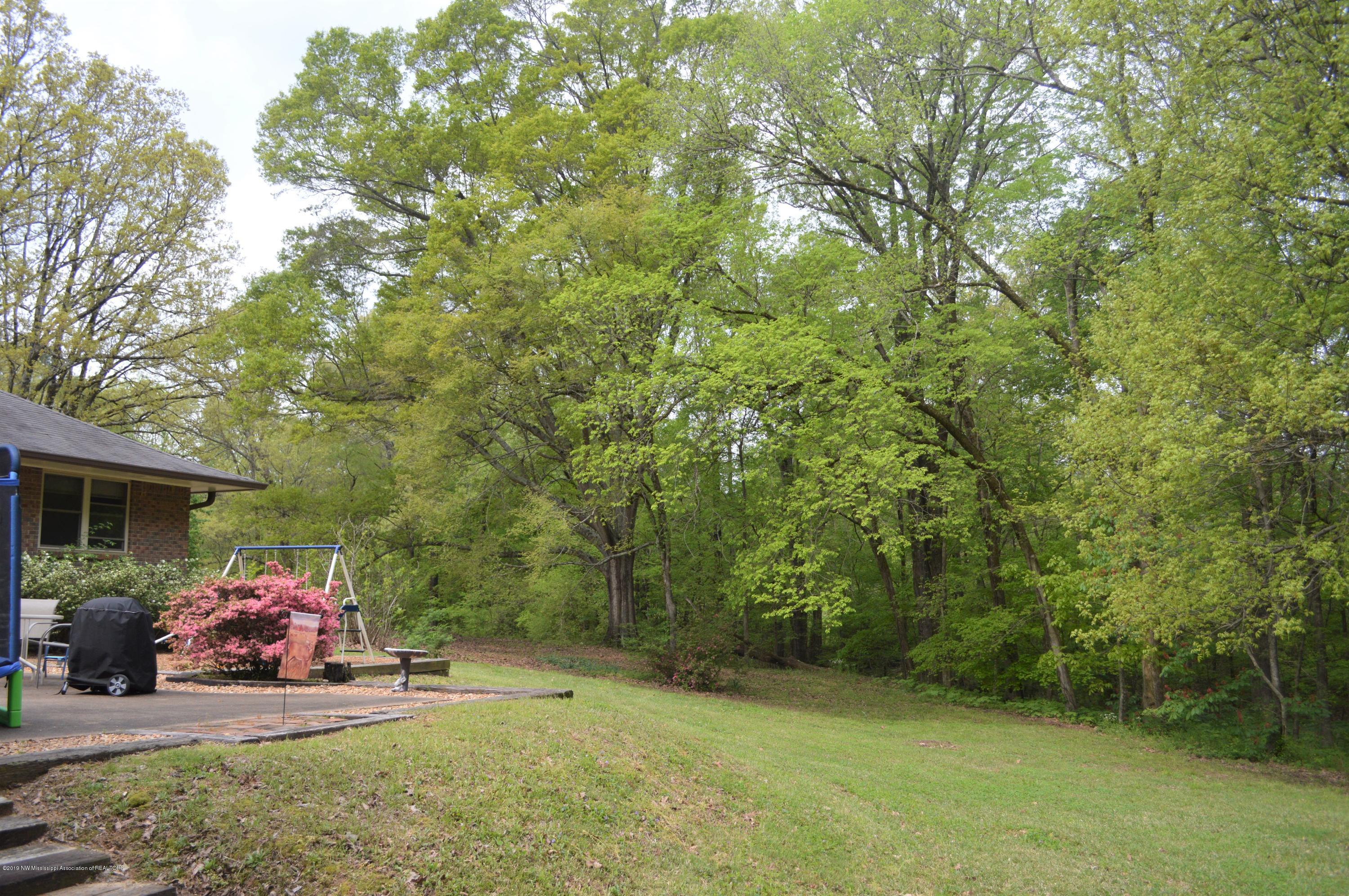 10730 Woolsey Road Olive Branch, MS 38654 - Photo 39 of 46 DSC_0062