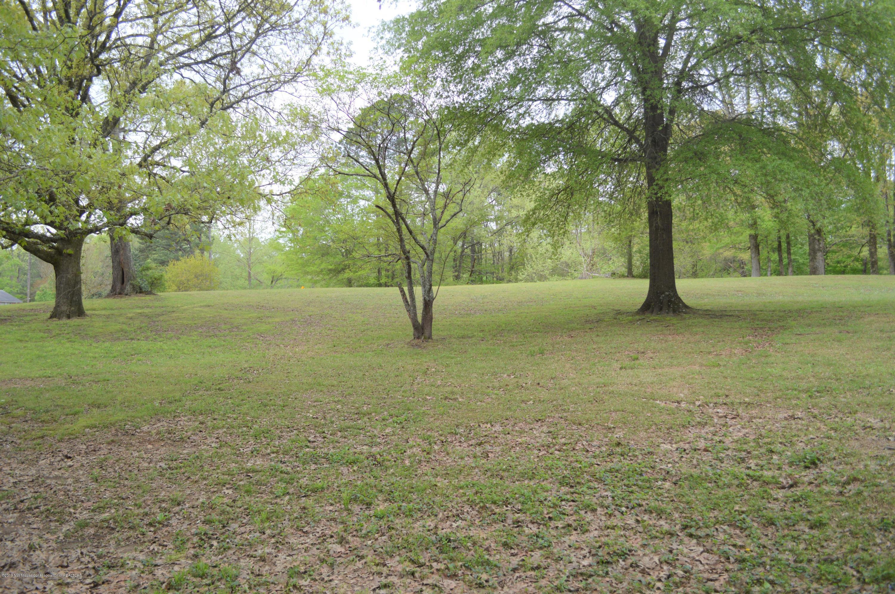 10730 Woolsey Road Olive Branch, MS 38654 - Photo 10 of 46 DSC_0054