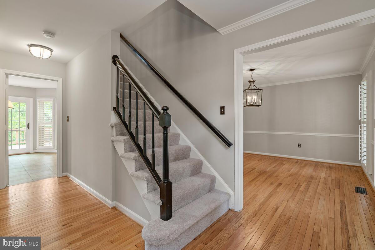 12124 Orchard View Road Gaithersburg, MD 20878 - Photo 4 of 51