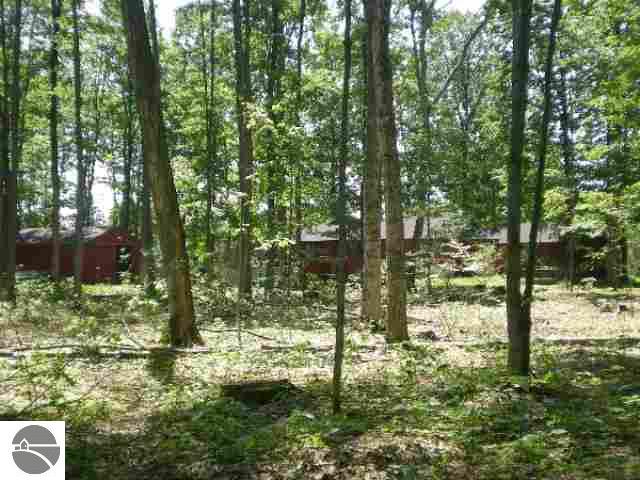 19900 Bronson Lake Road Interlochen, MI 49643 - Photo 4 of 14 1692366-3.JPG