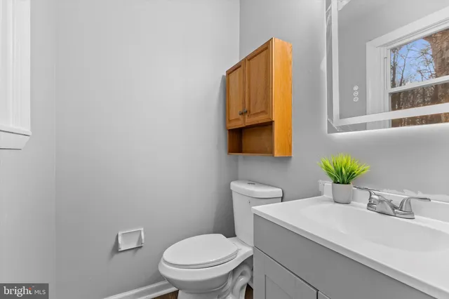 a bathroom with a sink a toilet and mirror