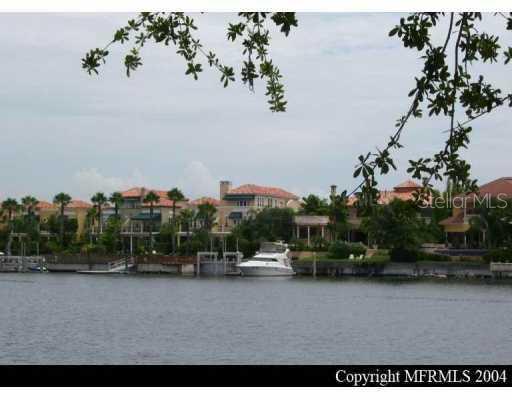1043 Royal Pass Road Tampa, FL 33602 - Photo 1 of 1 Exterior Back