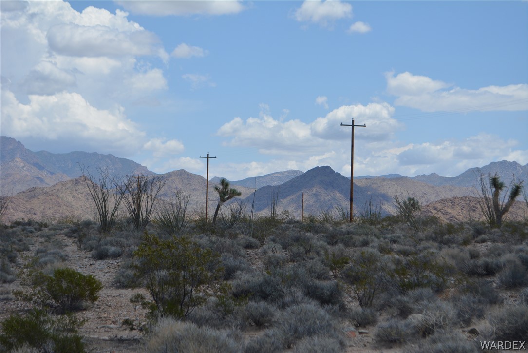208-24-134 Cameron Road Yucca, AZ 86438 - Photo 27 of 86