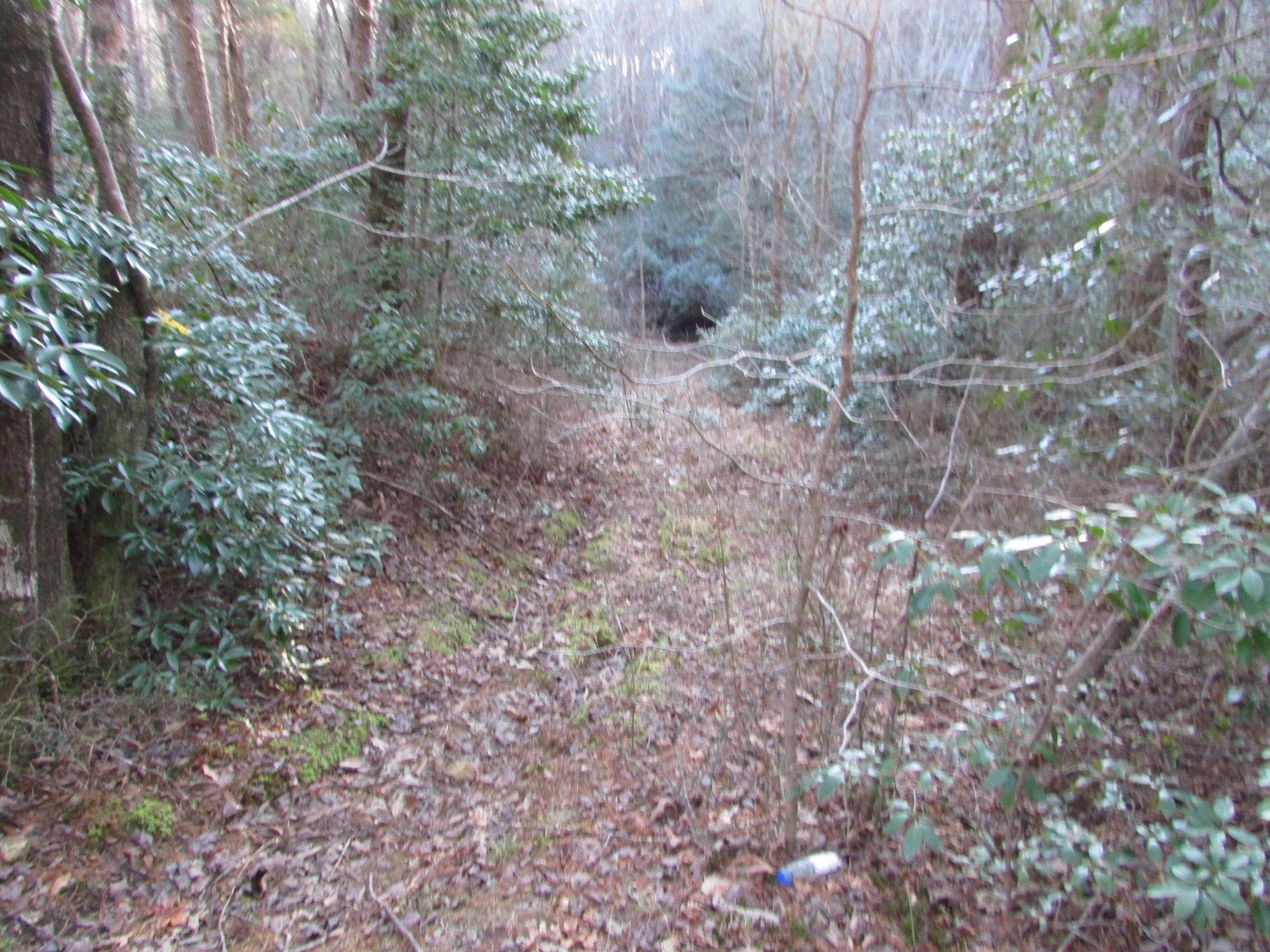 0 Joe King Road Altamont, TN 37301 - Photo 11 of 15 Gallery Image 11