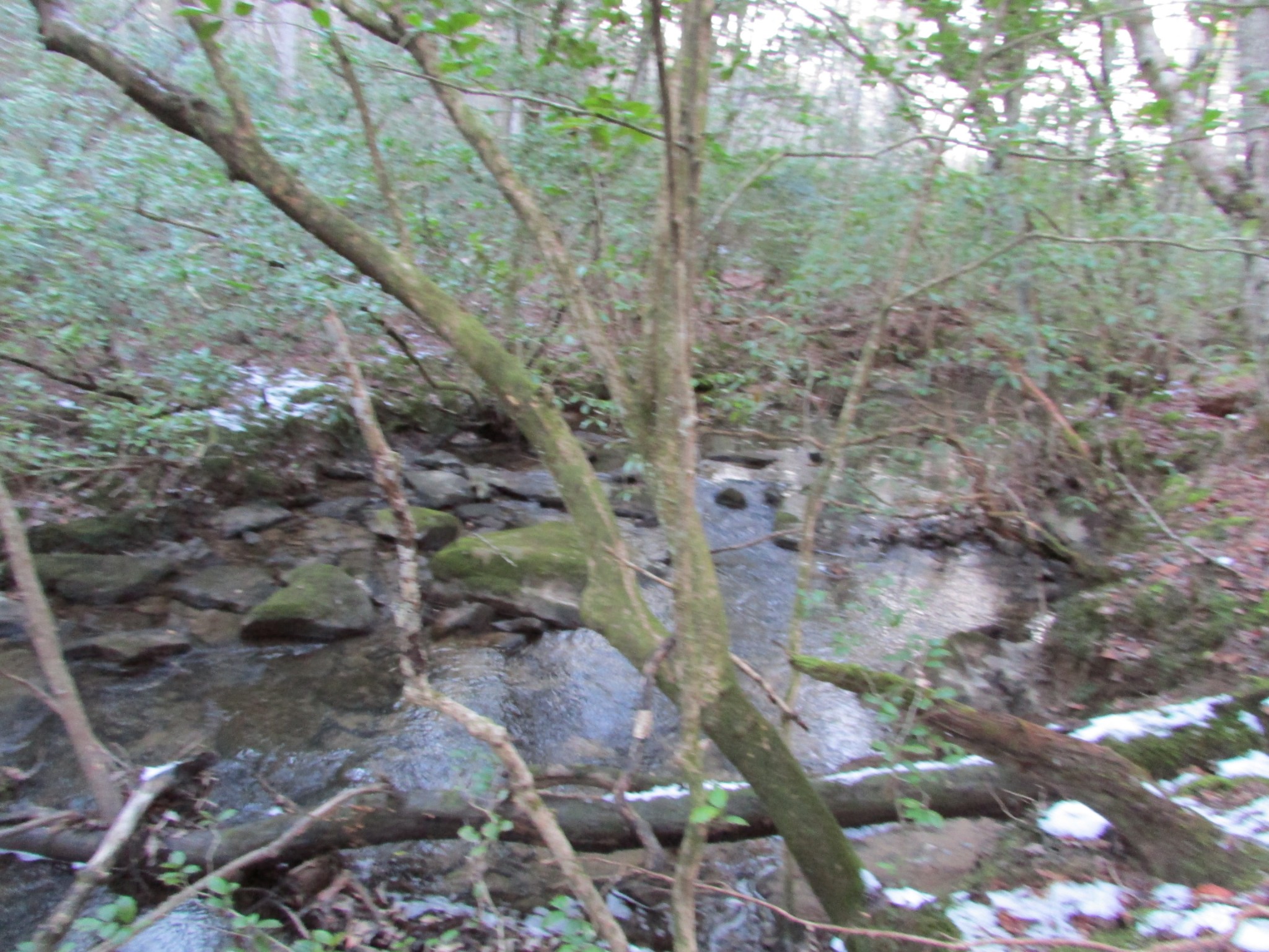 0 Joe King Road Altamont, TN 37301 - Photo 12 of 15 Gallery Image 12