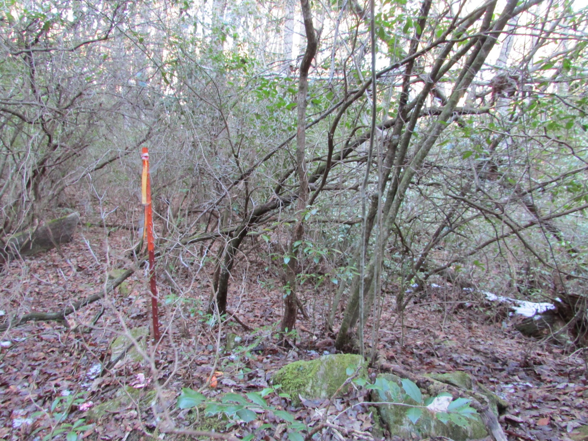 0 Joe King Road Altamont, TN 37301 - Photo 14 of 15 Gallery Image 14