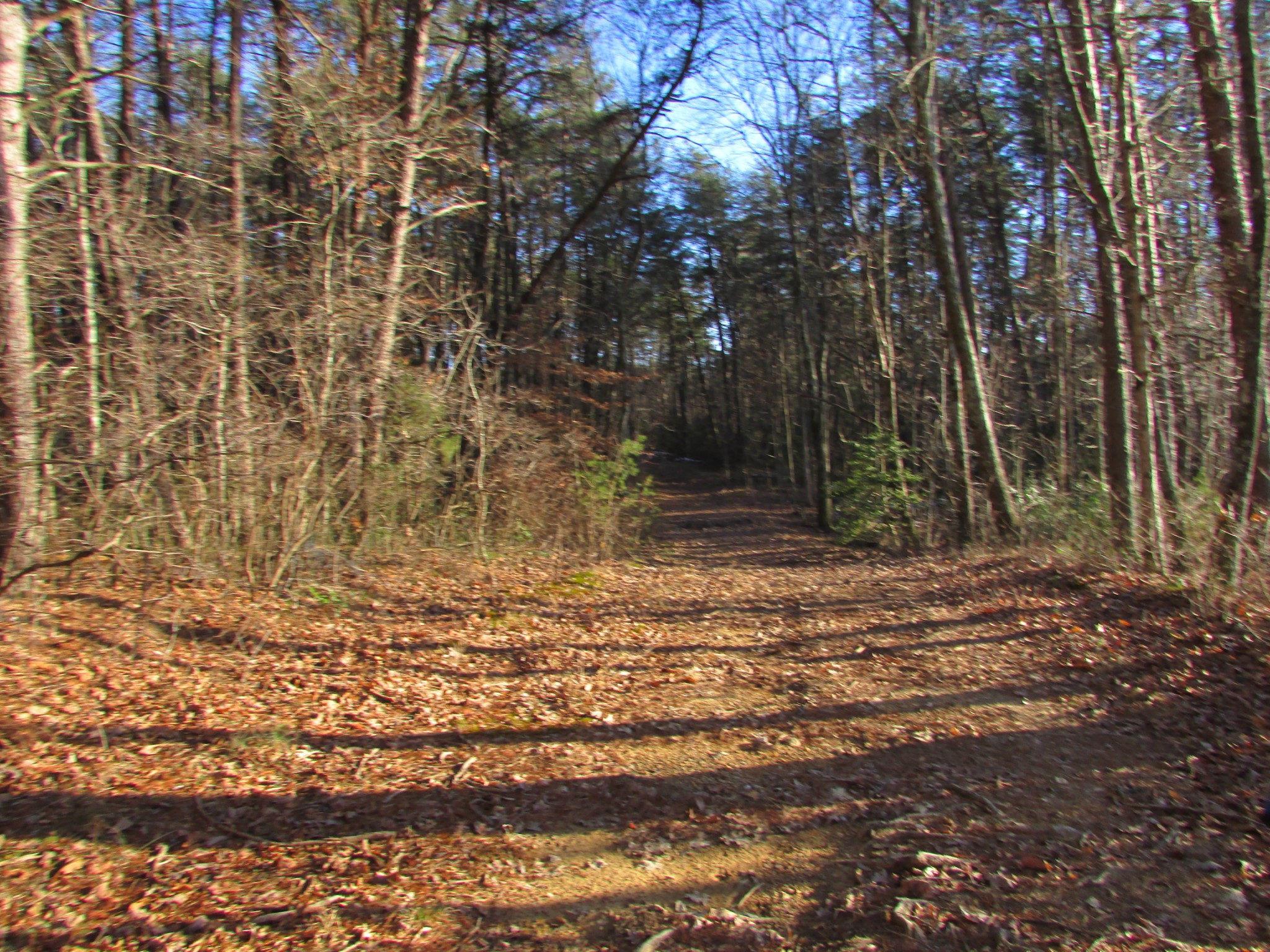 0 Joe King Road Altamont, TN 37301 - Photo 7 of 15 Gallery Image 7