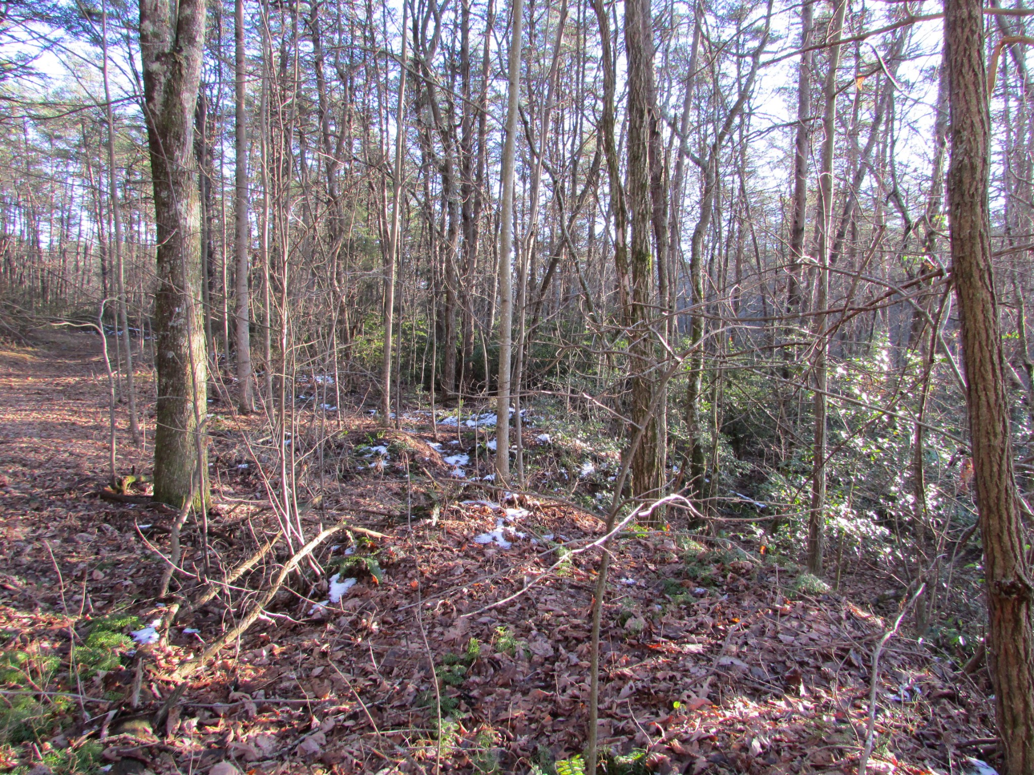 0 Joe King Road Altamont, TN 37301 - Photo 9 of 15 Gallery Image 9