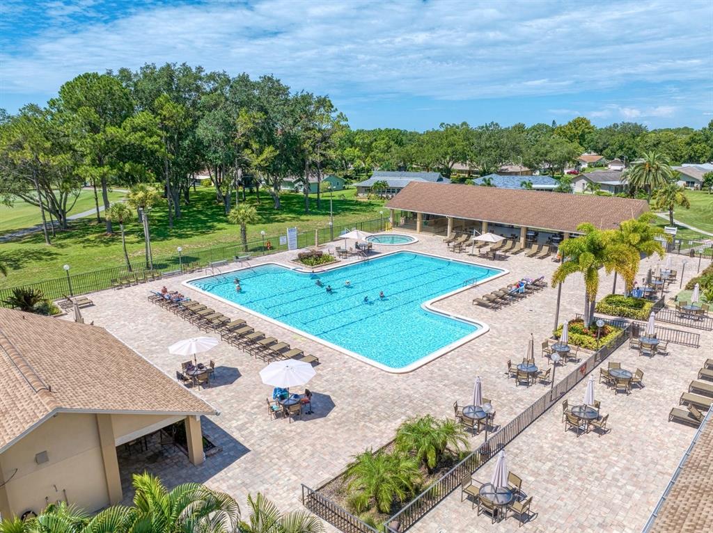 2281 Shelly Drive, Unit D Palm Harbor, FL 34684 - Photo 36 of 53 an aerial view of a house with outdoor space