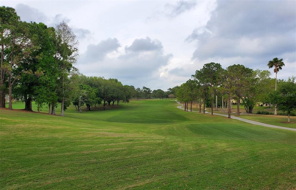 2281 Shelly Drive, Unit D Palm Harbor, FL 34684 - Photo 44 of 53 a view of a golf course with a lake