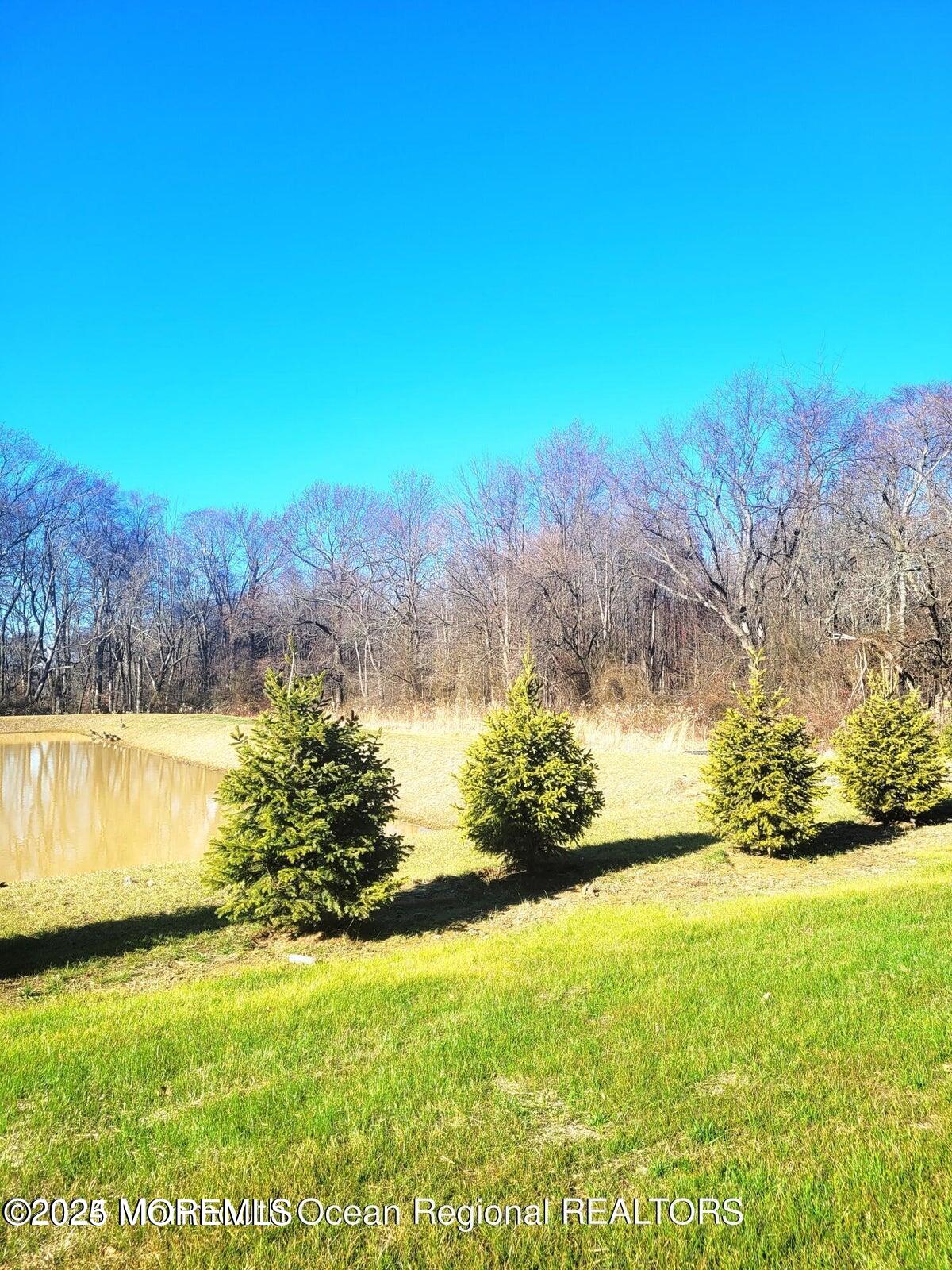 73 Nelsons Way Westampton, NJ 08060 - Photo 18 of 18 a view of a yard