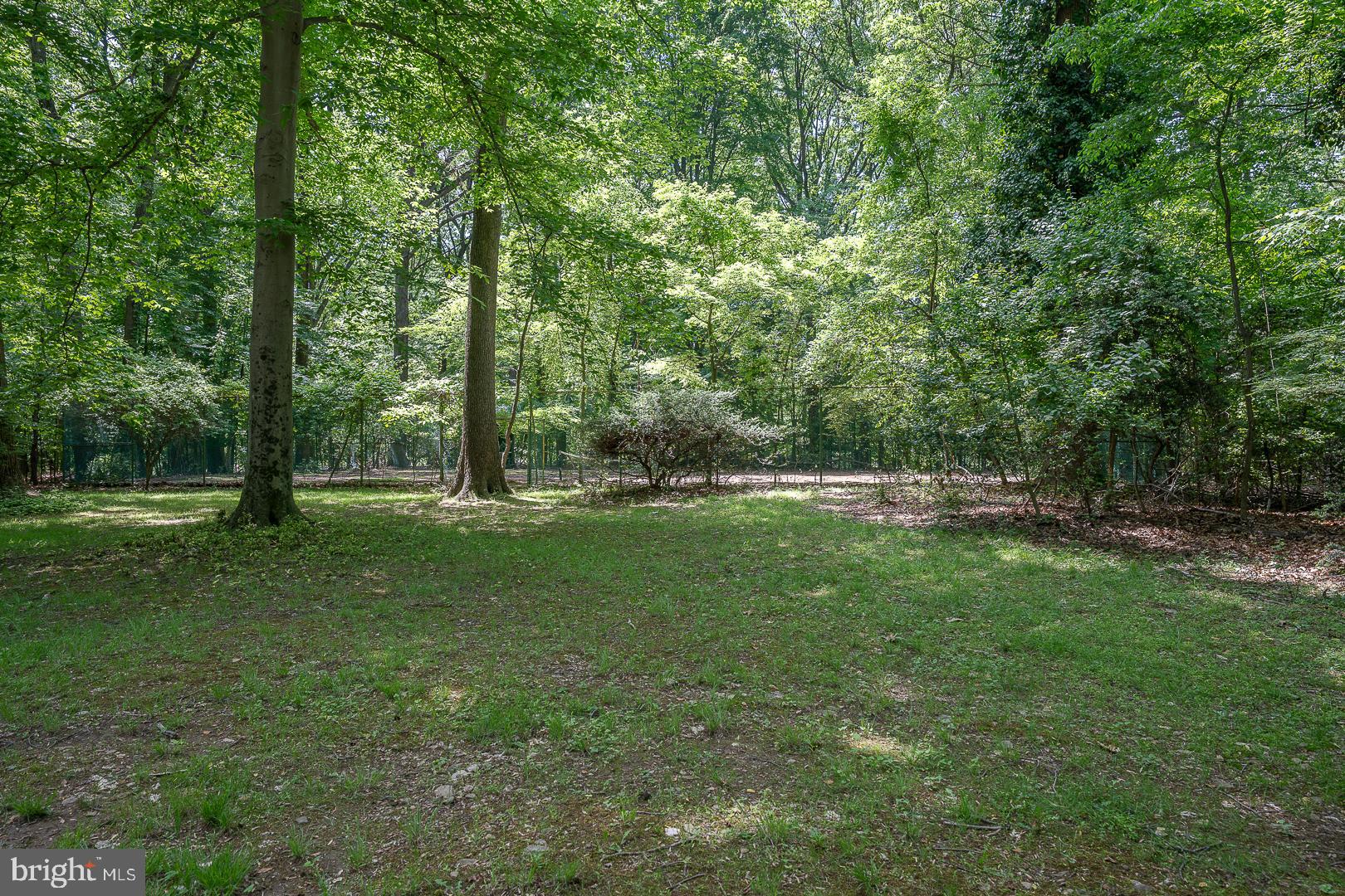 602 Old Eagle School Road Wayne, PA 19087 - Photo 19 of 100 Tennis court