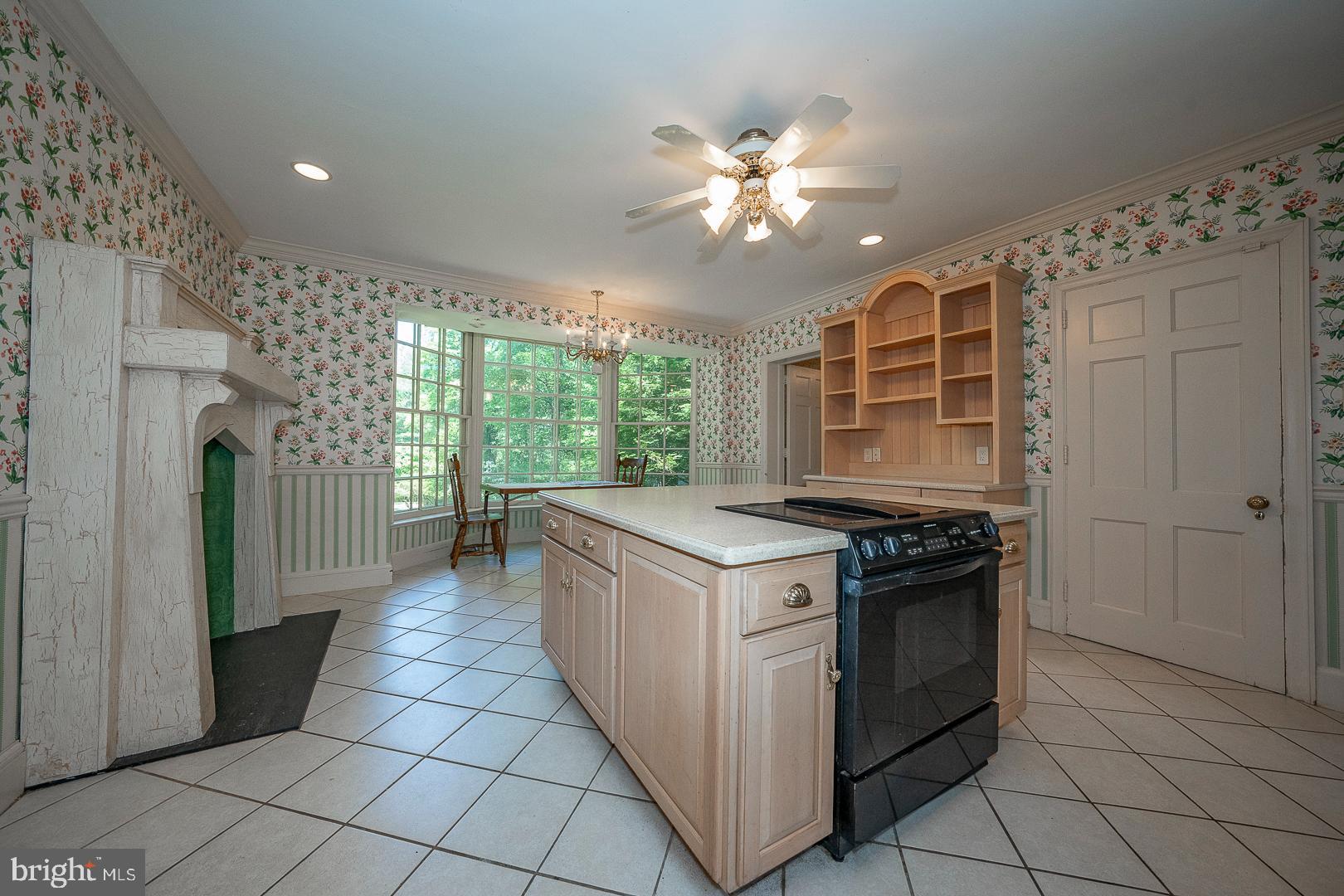 602 Old Eagle School Road Wayne, PA 19087 - Photo 55 of 100 Beautiful views