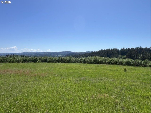 32784 Southwest Laurelview Road Hillsboro, OR 97123 - Photo 41 of 43