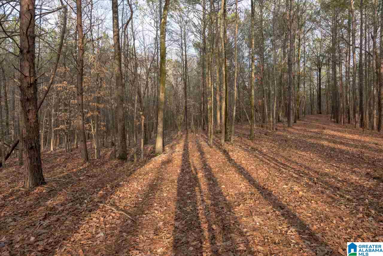 Deer Run Road, Unit 2 Alabaster, AL 35007 - Photo 4 of 6