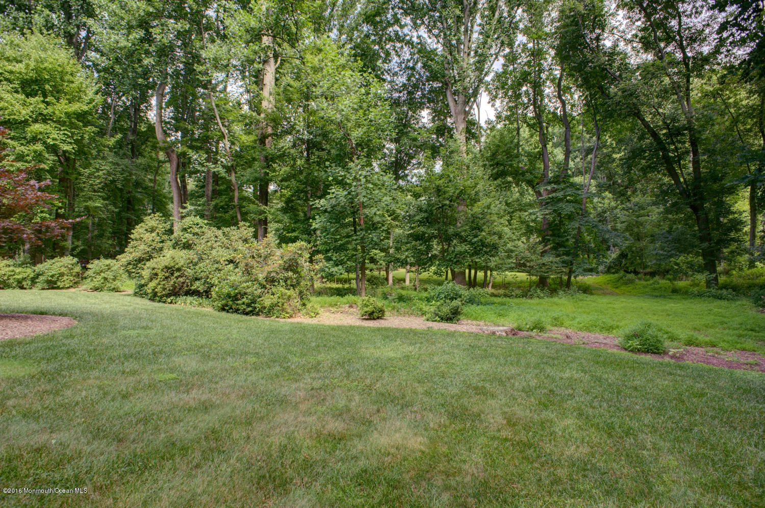 23 Rues Road Cream Ridge, NJ 08514 - Photo 4 of 45 a view of a grassy field with trees