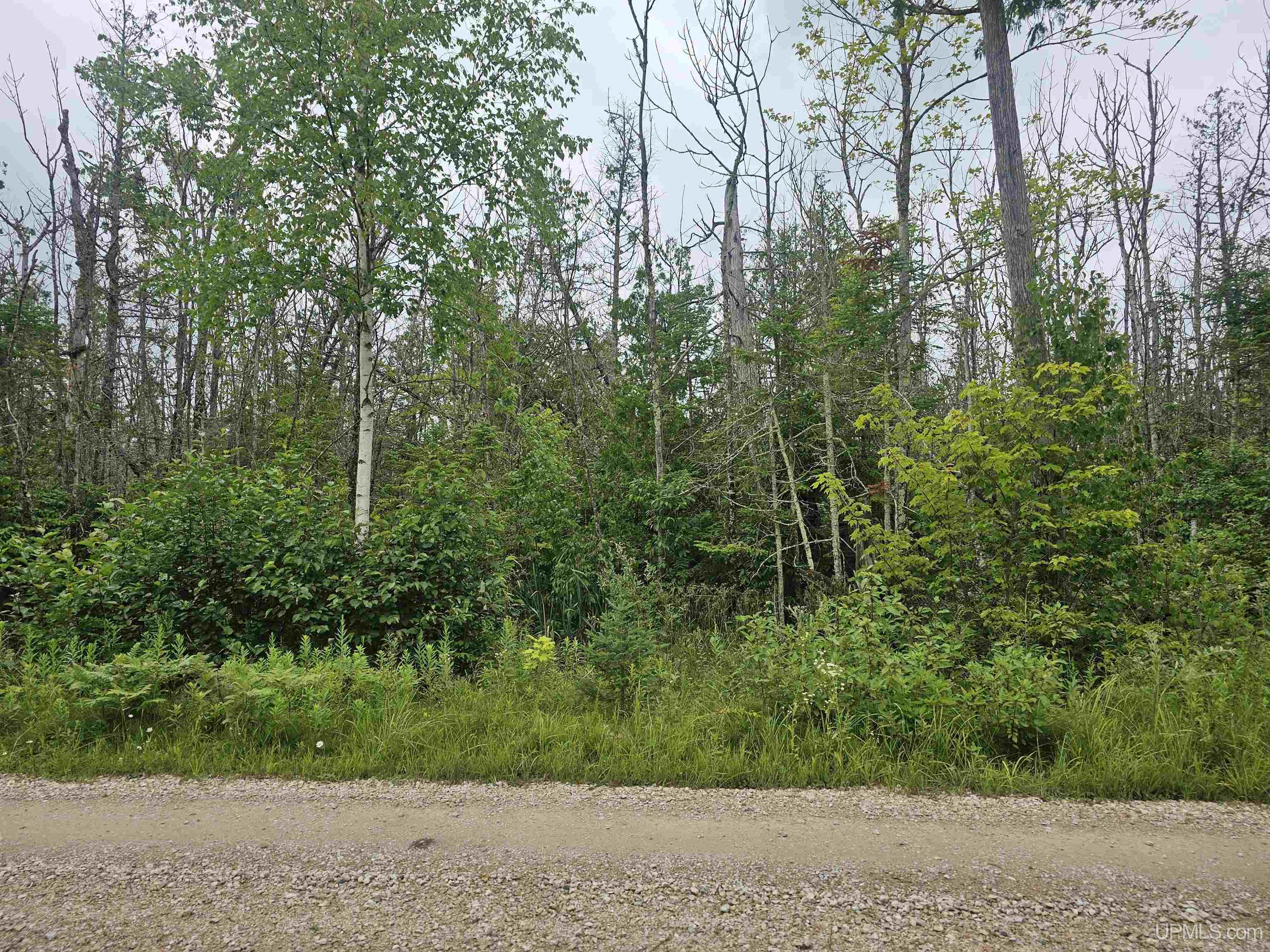 5965 Milakokia Lake Road Gould City, MI 49838 - Photo 27 of 41