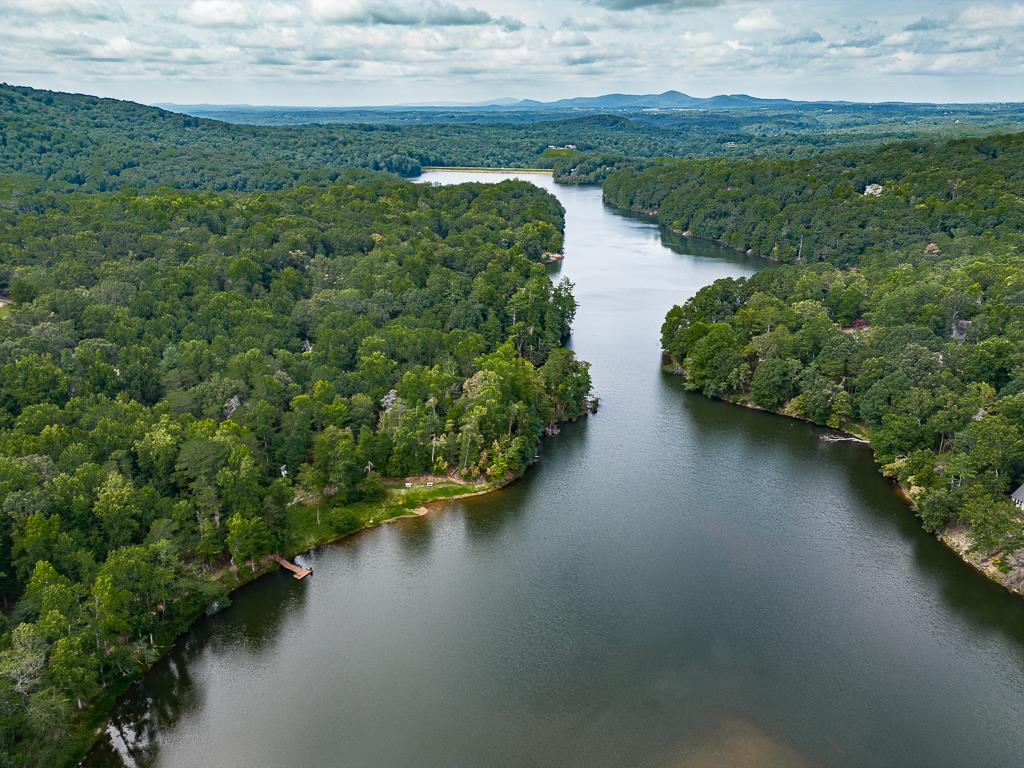 617 Crippled Oak Trail Jasper, GA 30143 - Photo 16 of 45 an aerial view of a houses with outdoor space and trees all around