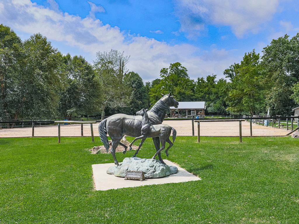 617 Crippled Oak Trail Jasper, GA 30143 - Photo 18 of 45 a garden view