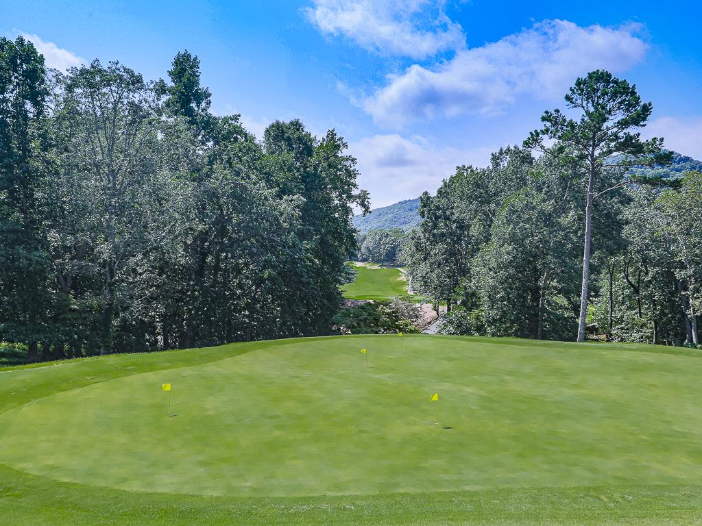 617 Crippled Oak Trail Jasper, GA 30143 - Photo 30 of 45 a view of a trees with a big yard