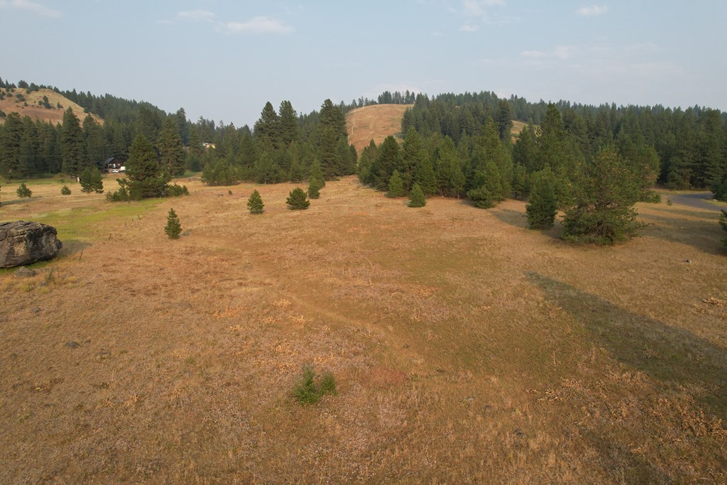 Lot 15 Whitefield Lane, Unit 15 McCall, ID 83638 - Photo 11 of 19