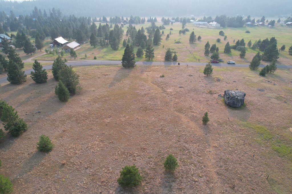 Lot 15 Whitefield Lane, Unit 15 McCall, ID 83638 - Photo 15 of 19