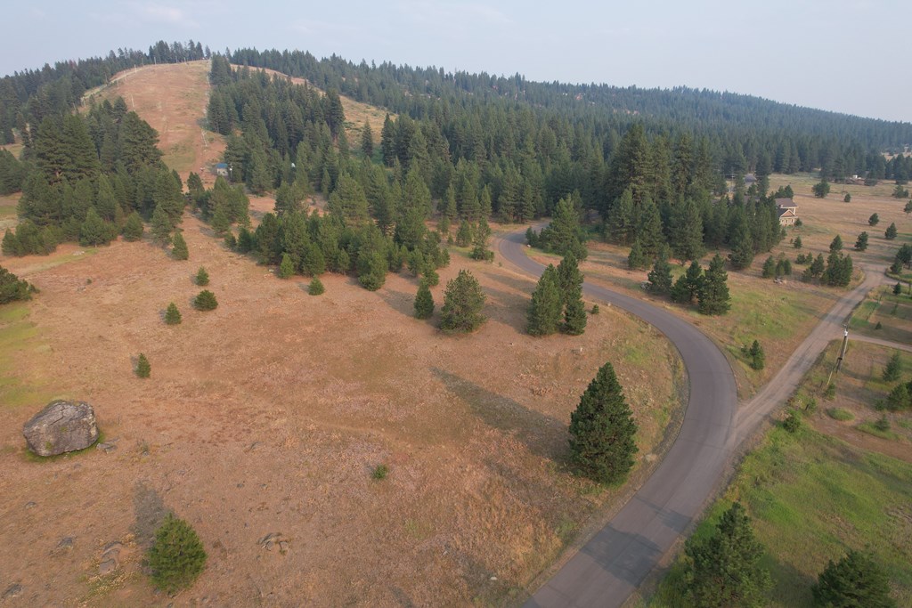 Lot 15 Whitefield Lane, Unit 15 McCall, ID 83638 - Photo 16 of 19