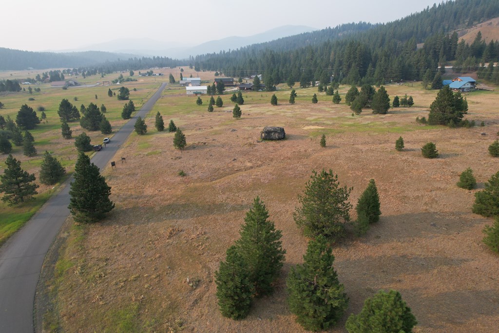 Lot 15 Whitefield Lane, Unit 15 McCall, ID 83638 - Photo 17 of 19 View towards Granite Mtn.