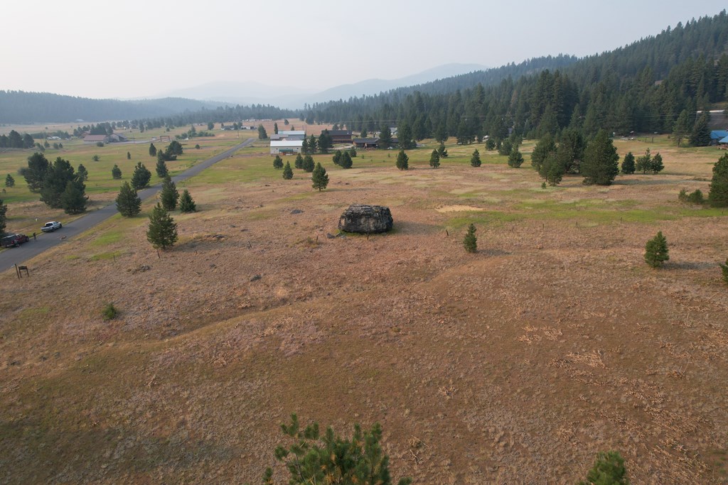 Lot 15 Whitefield Lane, Unit 15 McCall, ID 83638 - Photo 18 of 19
