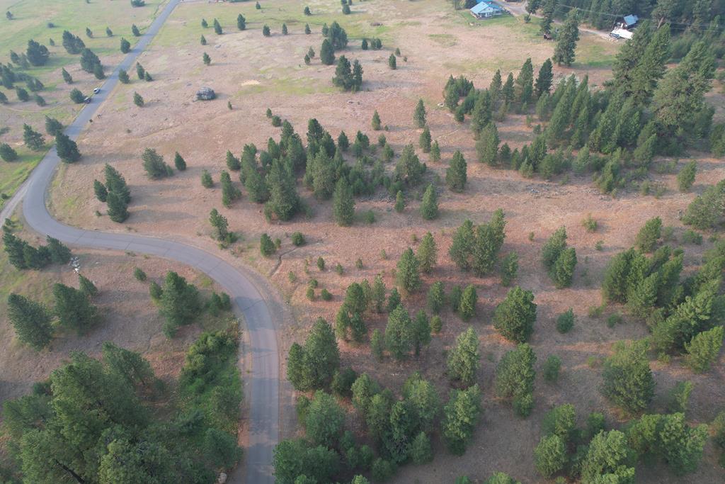 Lot 15 Whitefield Lane, Unit 15 McCall, ID 83638 - Photo 19 of 19