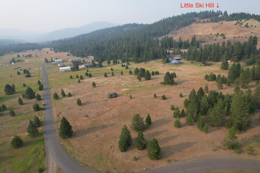 Lot 15 Whitefield Lane, Unit 15 McCall, ID 83638 - Photo 2 of 19