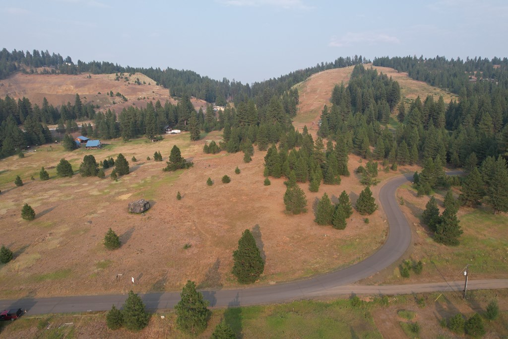Lot 15 Whitefield Lane, Unit 15 McCall, ID 83638 - Photo 3 of 19 Unobstructed view of Little Ski Hill