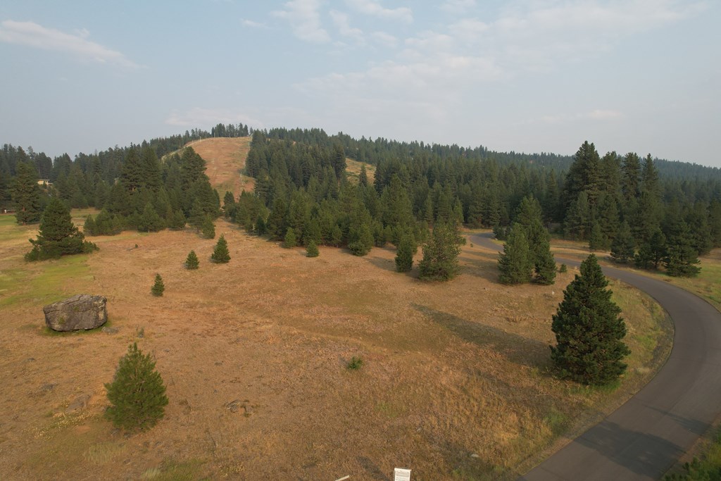 Lot 15 Whitefield Lane, Unit 15 McCall, ID 83638 - Photo 4 of 19 Beautifully flat lot