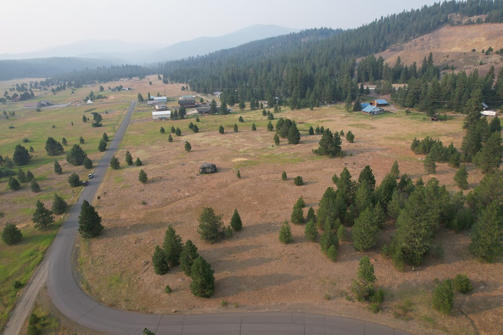 Lot 15 Whitefield Lane, Unit 15 McCall, ID 83638 - Photo 5 of 19 Views of Granite Mtn.