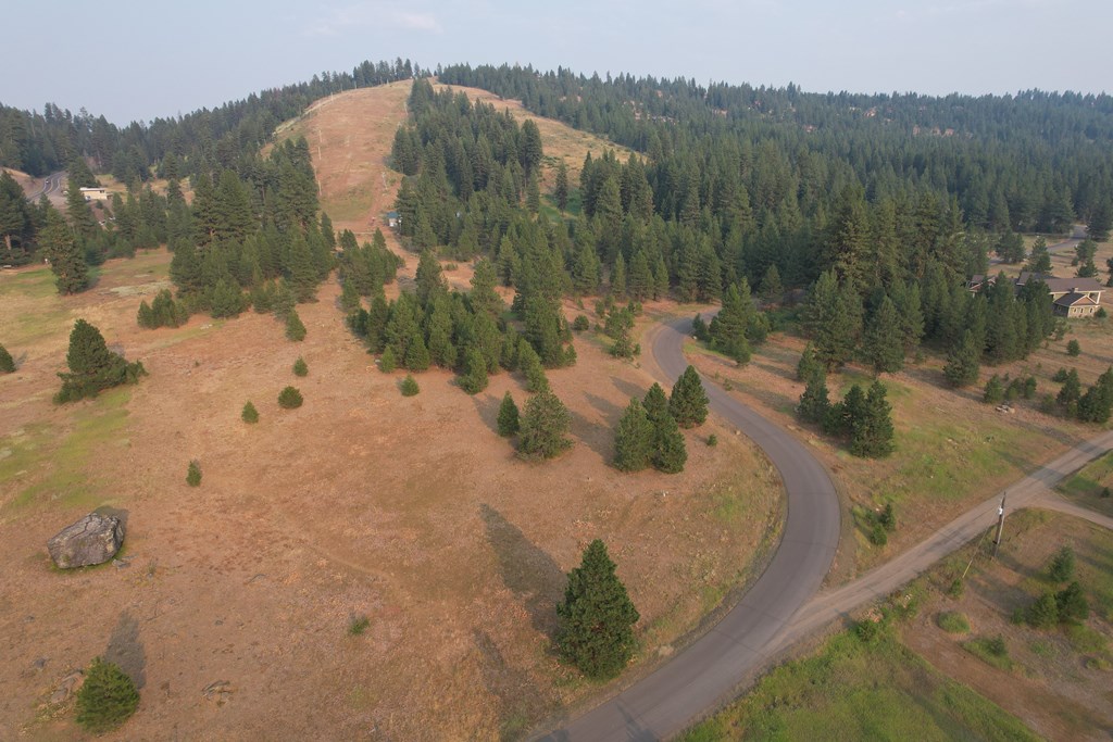 Lot 15 Whitefield Lane, Unit 15 McCall, ID 83638 - Photo 7 of 19