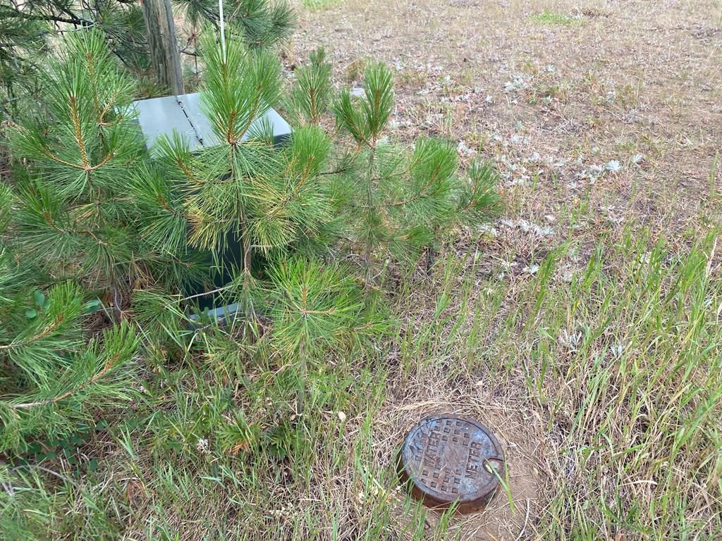 Lot 15 Whitefield Lane, Unit 15 McCall, ID 83638 - Photo 8 of 19 Phone, Power & Water on Lot