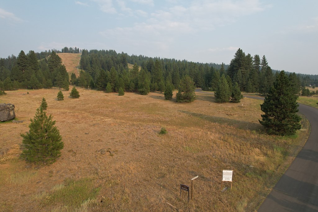 Lot 15 Whitefield Lane, Unit 15 McCall, ID 83638 - Photo 9 of 19