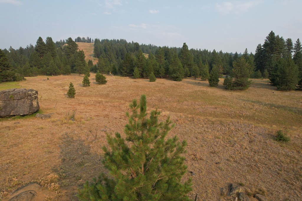 Lot 15 Whitefield Lane, Unit 15 McCall, ID 83638 - Photo 10 of 19 Large Boulder