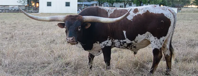 $245,000 | 209 County Road 310, Rockdale, TX 76567