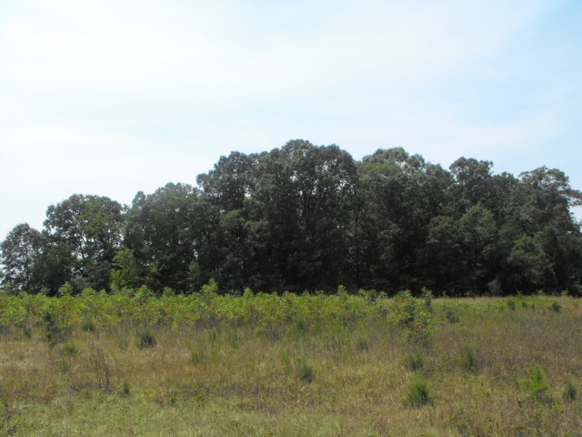 18-acres Rainey Road Starr, SC 29684 - Photo 1 of 1 Gallery Image 1